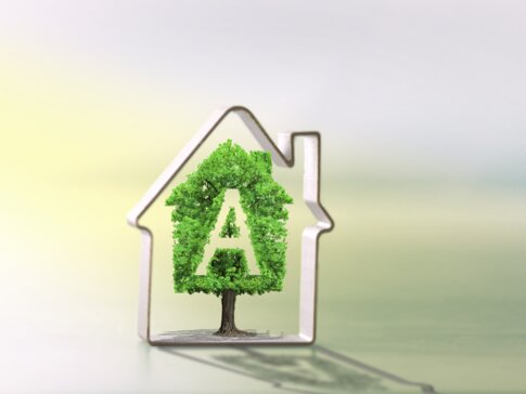Grüner Baum mit "A"-Zeichen in Hauszeichnung