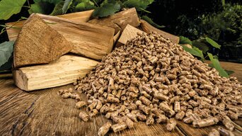 Holzpellets und Holzscheite auf einer Holzoberfläche mit grünen Blättern im Hintergrund.