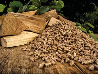 Holzpellets und Holzscheite auf einer Holzoberfläche mit grünen Blättern im Hintergrund.