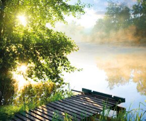 See mit hölzernem Steg, Sonne wird verdeckt von einem Baum | © bösch heizung.klima.lüftung