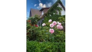 Ziegeldachhaus mit grünem und lebvollem Garten im Vordergrund | © bösch - heizung, klima, lüftung