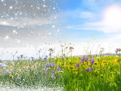 Jetzt Heizungsservice bestellen! Denn beim Wetter ist einfach alles möglich! | © bösch heizung.klima.lüftung Jetzt Heizungsservice bestellen! Denn beim Wetter ist einfach alles möglich! | © bösch heizung.klima.lüftung